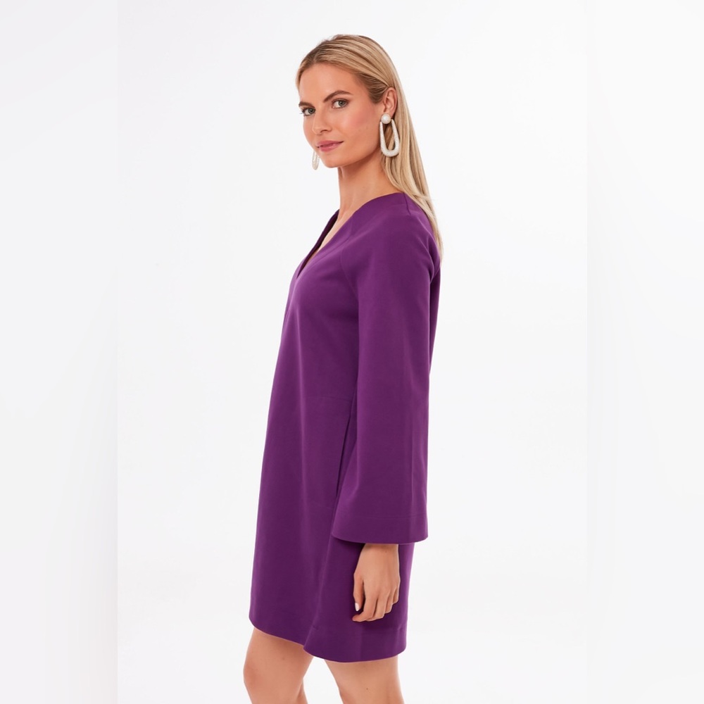 Tuckernuck Purple Audrey Dress